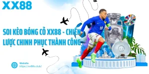 Soi kèo bóng cỏ